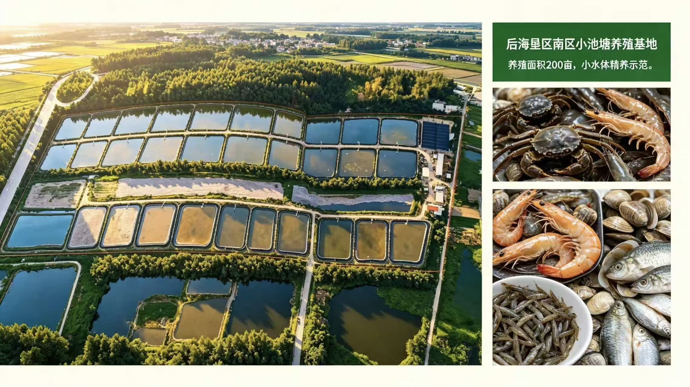 后海垦区南区小池塘养殖基地航拍
